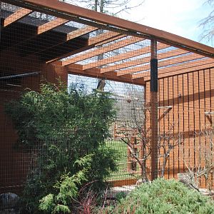 Birds of Prey Exhibits (Peregrine Falcon)
