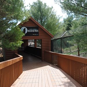 Mexican Wolves' Observation Cabin