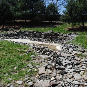 Mexican Wolves' Exhibit