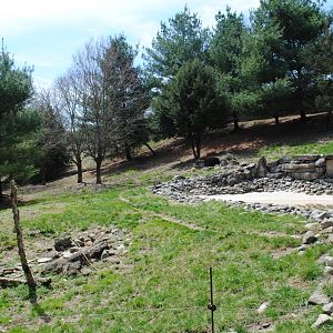 Mexican Wolves' Exhibit