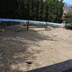 Prairie-Dogs Exhibit