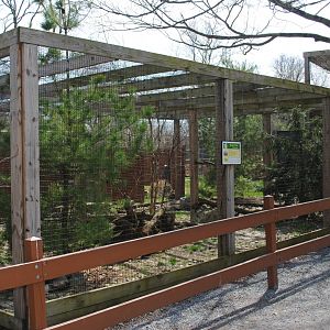 Red Fox Exhibit (labeled "Gray Fox")