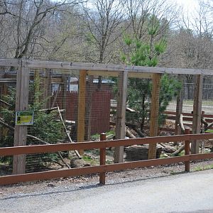 Exhibits for Striped Skunk/Ringtail and Fisher