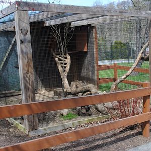 Spotted Skunks Exhibit (labeled "Porcupine")