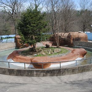 North American River Otter's Exhibit