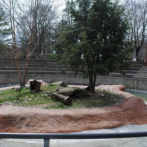 North American River Otter's Exhibit