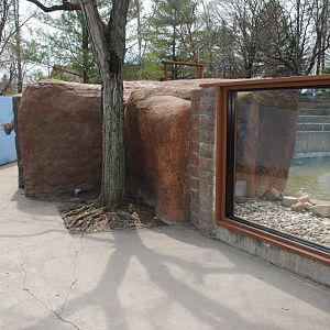 North American River Otter's Exhibit (viewing window)