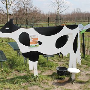 Milking-cow ( not a real one ;) )