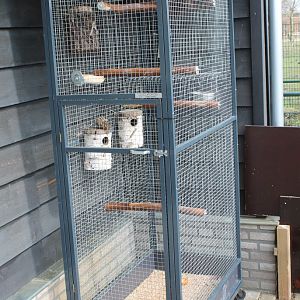 Squirrel-cage