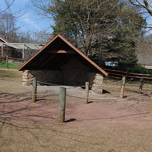 Kangaroos Walk-through Exhibit
