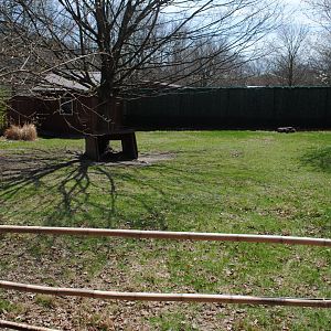 Tammar Wallaby Paddock