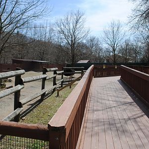 African Savanna Viewing Deck