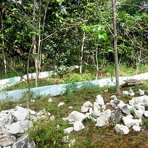 Skink soft release enclosure