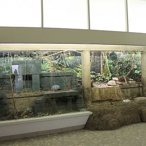 Part Asian aviary