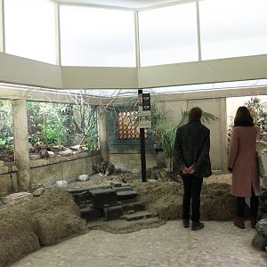 Part Asian aviary