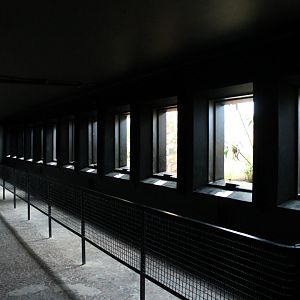 Wire-less Bird-enclosures