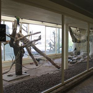 Macaw - Curassow indoor-enclosure