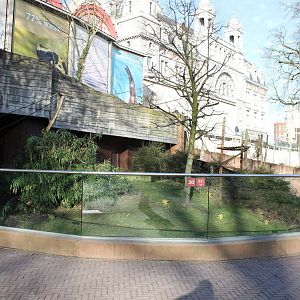 Squirrel monkey-enclosure