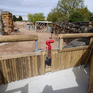 New jet to spray the elephants