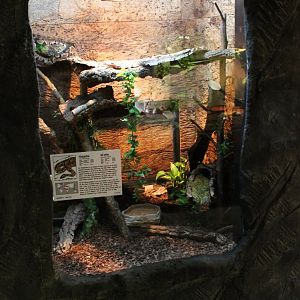 Enclosure Ball python