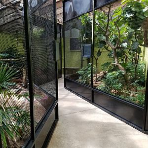Changes to "Aviary" Building