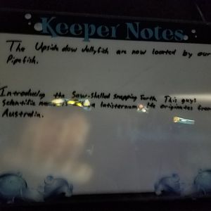 Sign for New Saw Shelled Snapping Turtle Exhibit