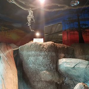 Museum-like Display Gone, To be Exhibit