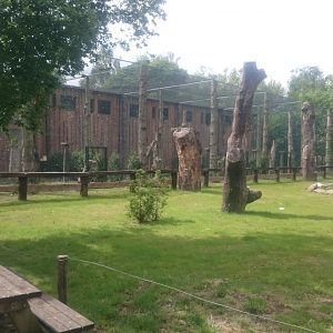 Bird-of-prey and crane aviaries