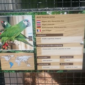 Illiger's macaw sign