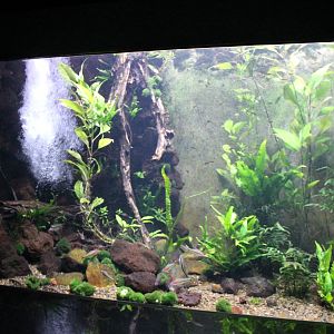 Tropical Asia-aquarium