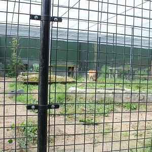Tiger-enclosure