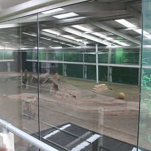 Indoor Big Cat Arena