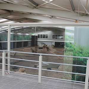 Indoor Big Cat Arena