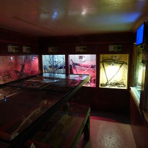 Rivers, Rainforest and Deserts