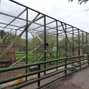Serval Enclosure