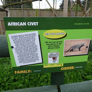 African Civet Signage