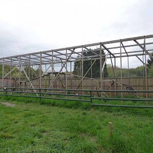 African Civet Outdoor Enclosure
