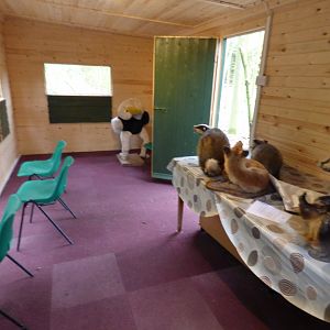 View of Badger Sett viewing area
