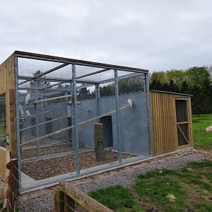 View of new Parrot Aviaries