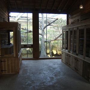 26/3/2017 new Invert exhibits in Monsoon