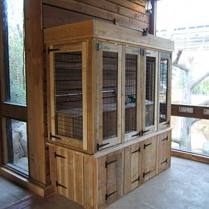 26/3/2017 new Invert exhibits in Monsoon