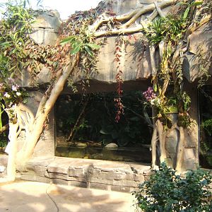 26/3/2017 Herp exhibits in Monsoon