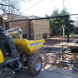 26/3/2017 New European Bird Aviary construction