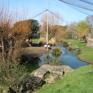 26/3/2017 View of Europe on the Edge Aviary