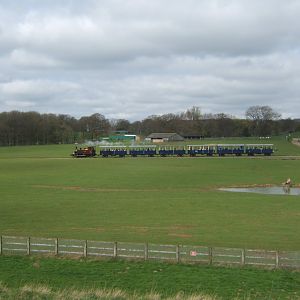 2/4/2017 View of Train in the Deer reserve