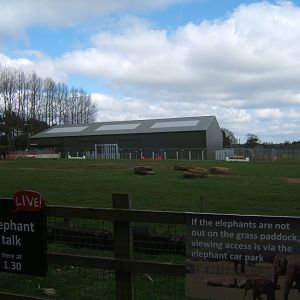2/4/2017 View of new Elephant House Construction