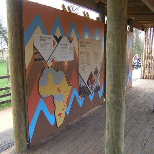 2/4/2017 New Hunting Dogs enclosure