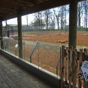 2/4/2017 New Hunting Dogs enclosure
