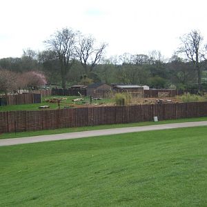 2/4/2017 view of former Dinosaurs