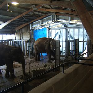 2/4/2017 View inside the old Elephant House